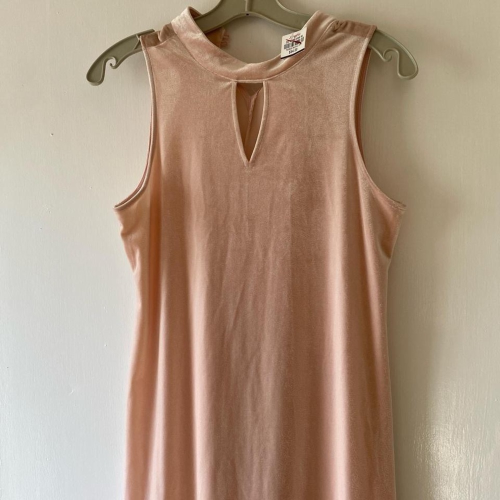 Light Pink Velvet Dress